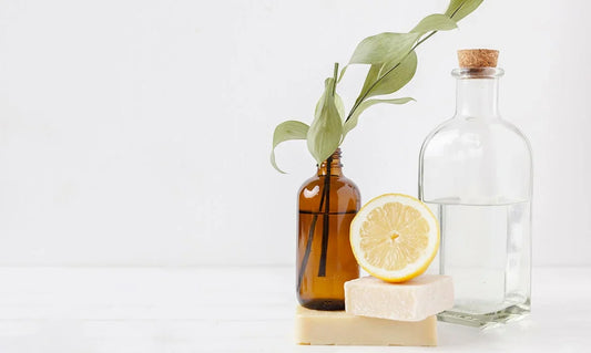 Herbal Ingredients And Their Role In Beauty Creams